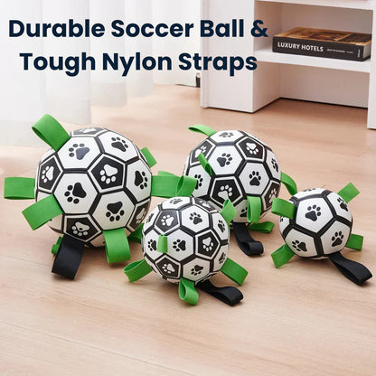 Finessor Viral Doggie Ball